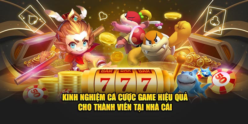 Kinh nghiệm cá cược game hiệu quả cho thành viên tại nhà cái